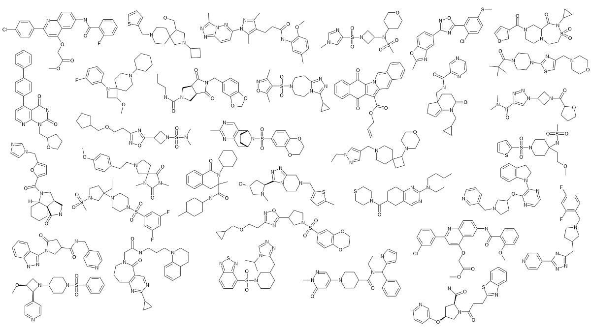  DNMT-Focused Library