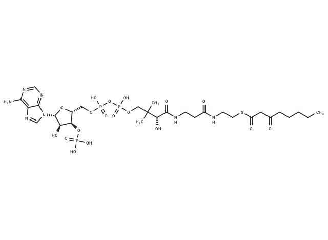 3-Oxooctanoyl-CoA