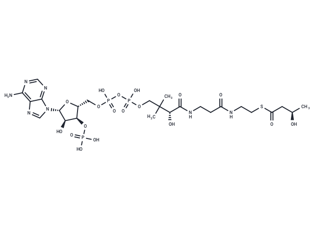 D-3-Hydroxybutyryl-CoA