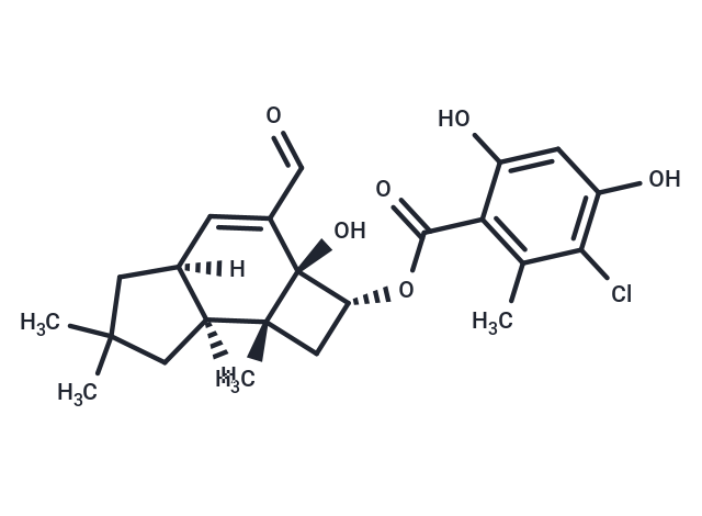 Melleolide K