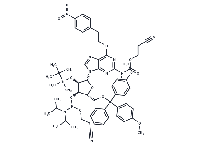 5'-DMT-3'-CE-2'-TBDMS 2-cyanoethoxycarbonyl, 2-(4-nitrophenyl)ethyl-guanosine