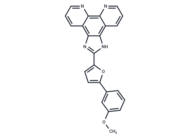 MET Transcription-IN-1
