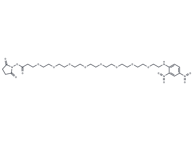 DNP-PEG8-NHS ester