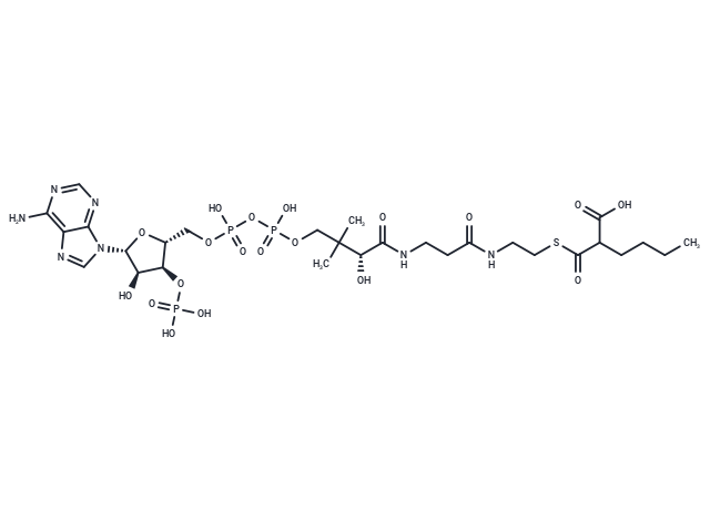 Butylmalonyl-CoA