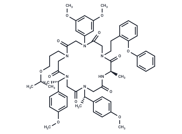 β-catenin inhibitory peptoid