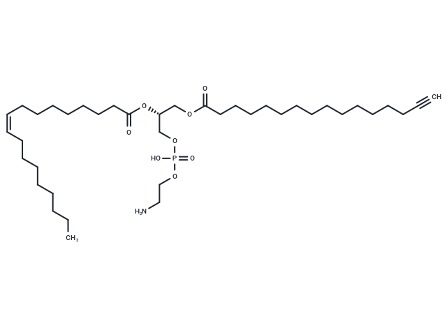 16:0(Alkyne)-18:1 PE