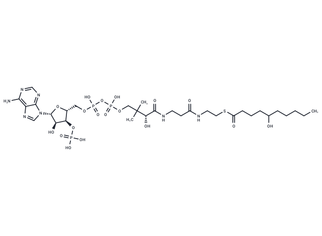 5-Hydroxydecanoyl-CoA