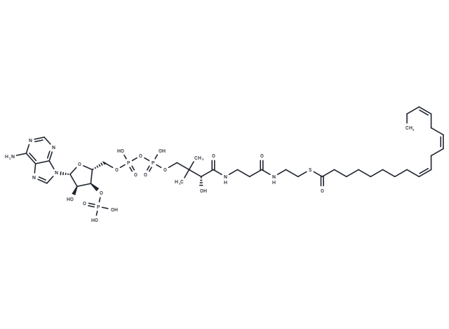 9Z,12Z,15Z-Octadecatrienoyl-CoA
