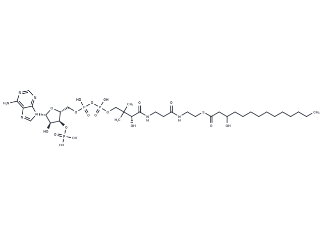 3-Hydroxytetradecanoyl-CoA
