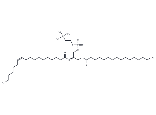 16:0-18:1(n7) PC - IsoPure