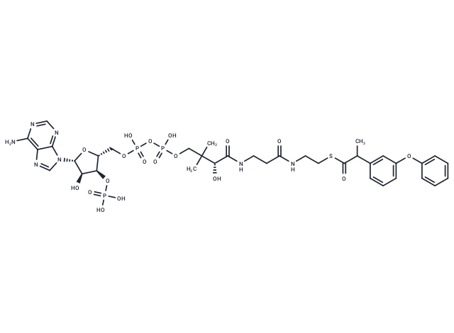 Fenoprofen-CoA