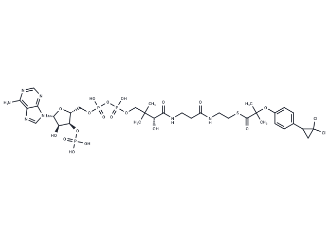 Ciprofibrate-CoA