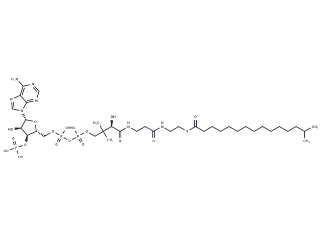Isohexadecanoyl-CoA