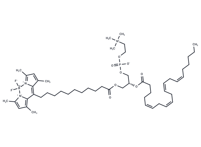 TopFluor-20:4 PC - IsoPure
