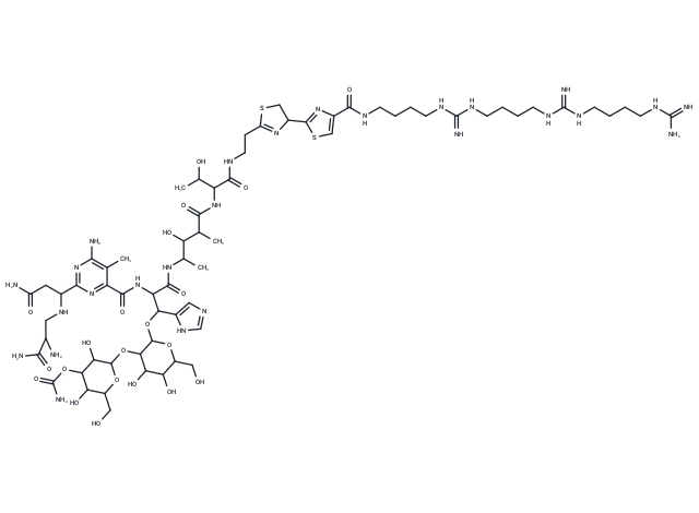 Phleomycin G