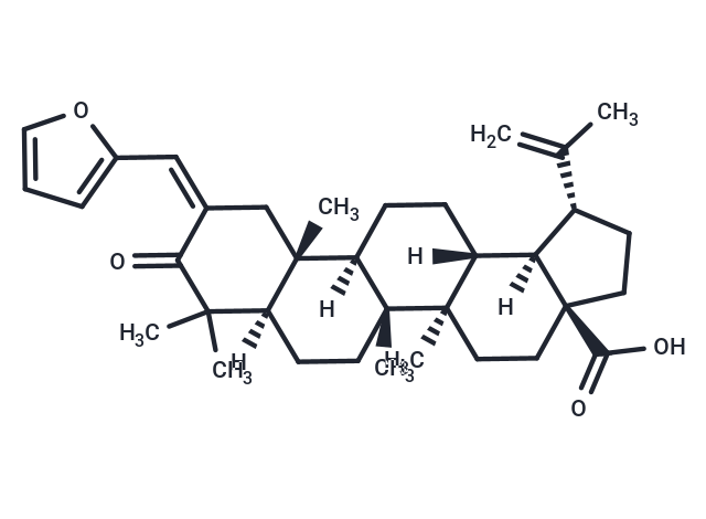RORγ inverse agonist 2