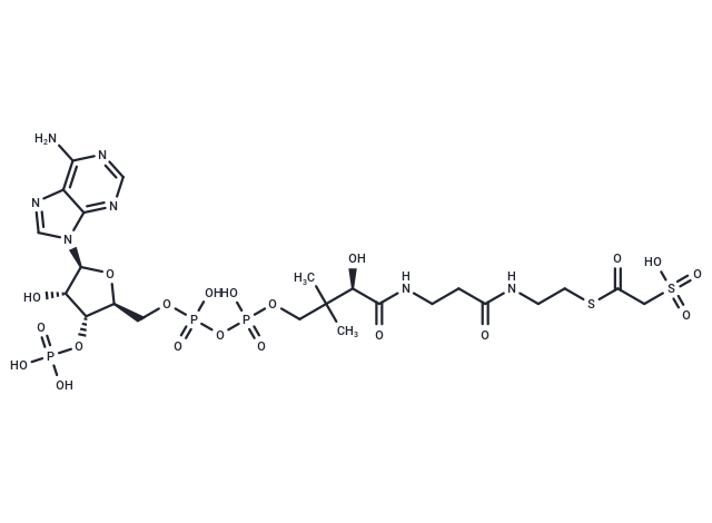 1-Hexadecanosulfonyl-O-L-Serine-CoA