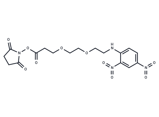 DNP-PEG2-NHS ester