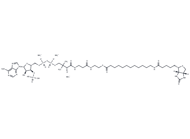 12:0 Biotinyl coenzyme A triammonium