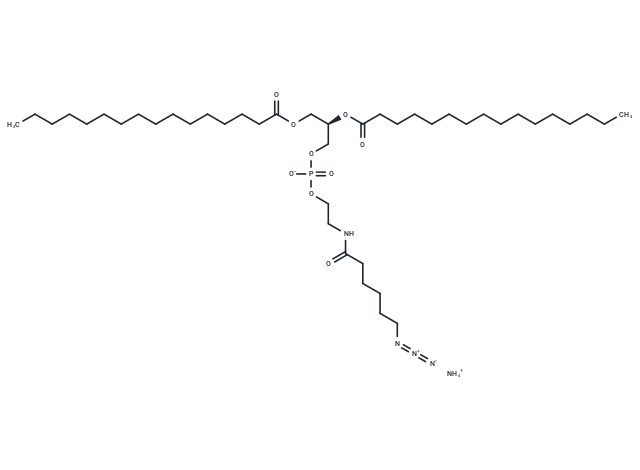 16:0 Azidocaproyl PE ammonium