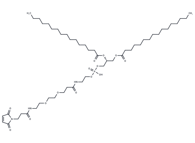 DPPE-PEG2-mal