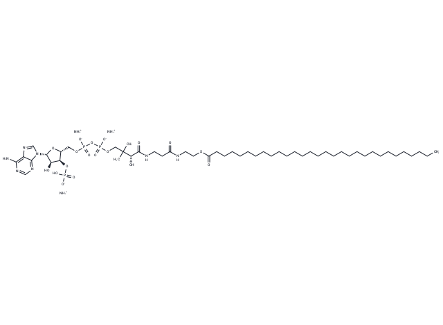 30:0 Coenzyme A ammonium