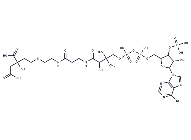 Citryl-Thioether-CoA