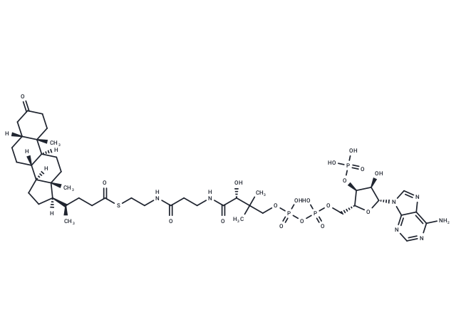 3-Oxo-5beta-cholan-24-oyl-CoA