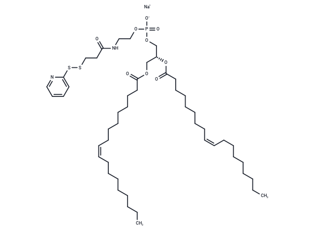 18:1 PDP PE sodium