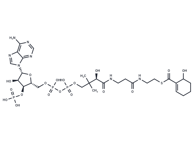 6-Hydroxycyclohex-1-ene-1-carboxyl-CoA