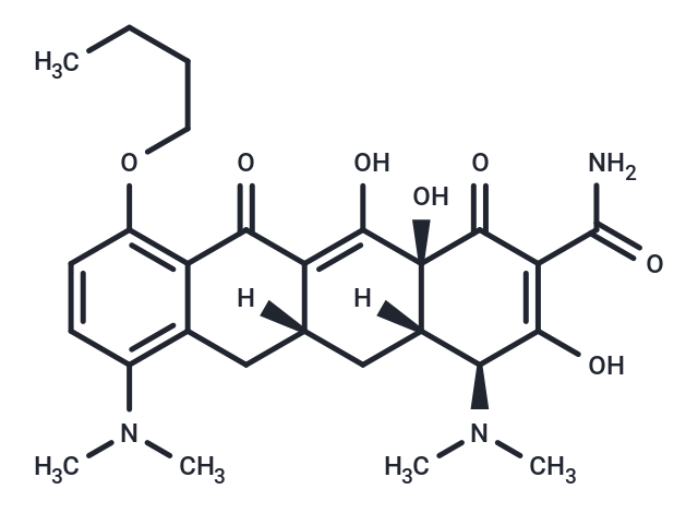 10-Butyl Ether Minocycline