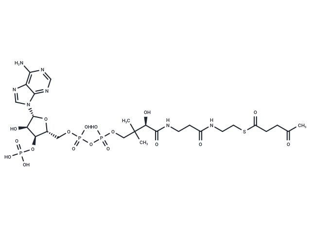 4-Oxopentanoyl-CoA