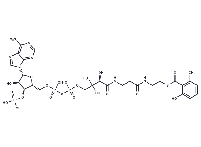 6-Methylsalicylyl-CoA