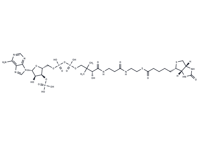 Biotinyl-CoA