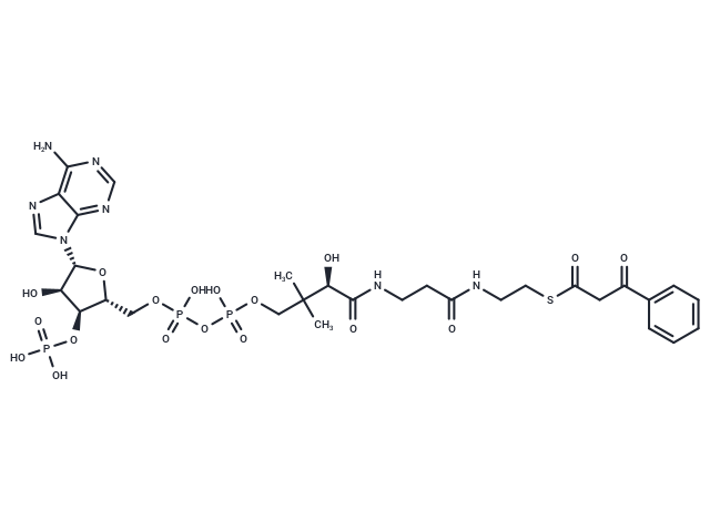 Benzoyl-acetyl-CoA