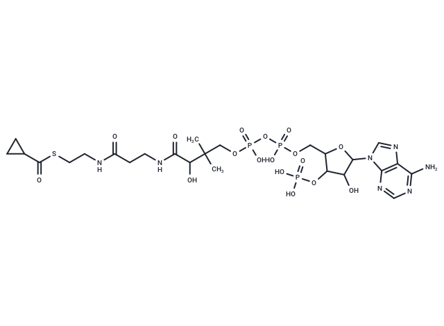 Cyclopropanecarboxyl-CoA
