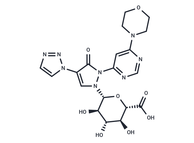 Molidustat glucuronide