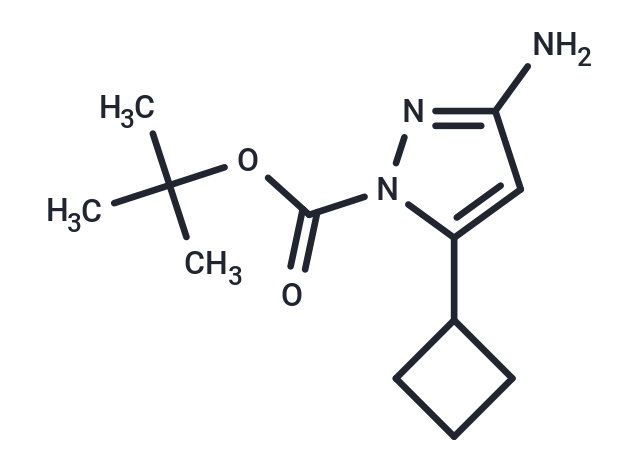 1H-Pyrazole-1-carboxylic acid, 3-amino-5-cyclobutyl-, 1,1-dimethylethyl ester