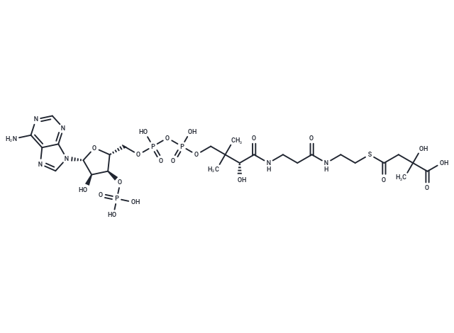 Citramalyl-CoA
