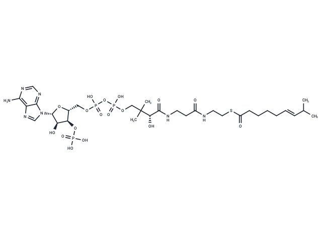 8-Methylnon-6-enoyl-CoA