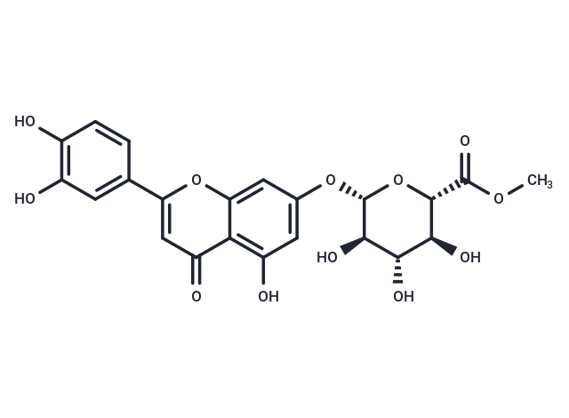 Luteolin-7-O-β-D-glucuronide methyl ester
