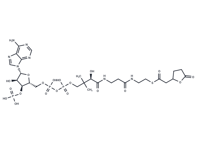 5-Oxo-furan-2-acetyl-CoA