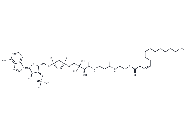 cis-Tetradec-3-enoyl-CoA