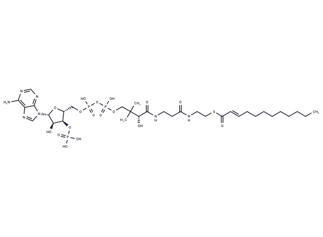 Dodec-2-trans-enoyl-CoA