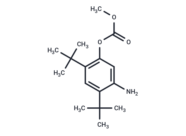 5-Amino-2,4-di-tert-butylphenyl methyl carbonate