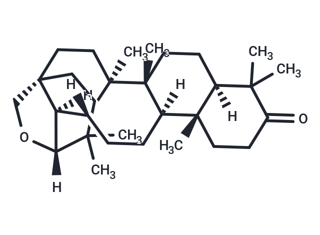 Allobetulone
