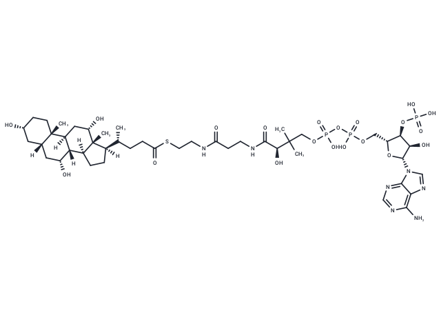 Cholyl-CoA