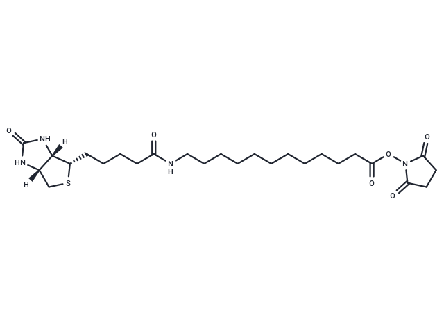 12:0 N-Biotinyl fatty acid, NHS