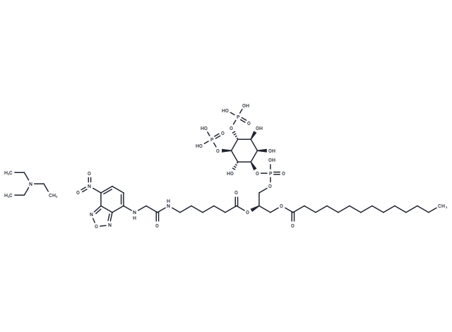 14:0-6:0(C2 NBD) PI(4,5)P2 TEA