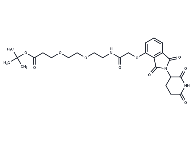 Thalidomide-OCH2-amide-PEG2-C2-Boc